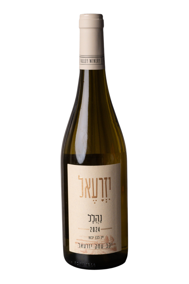 A bottle of Jezreel Valley White Nahalal 2024 with a cream-colored label and pale yellow wine inside, showcasing a refined and elegant design.